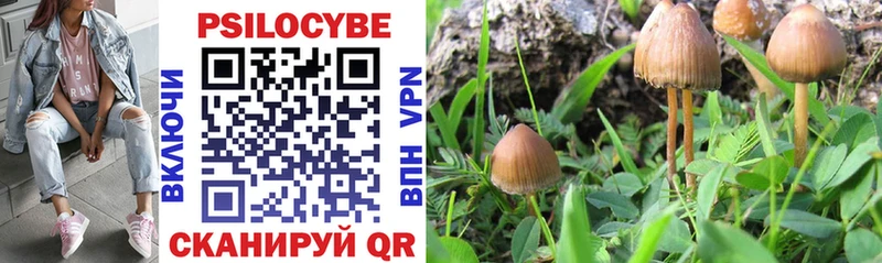Псилоцибиновые грибы Psilocybine cubensis  дарнет шоп  дарк нет формула  Берёзовка 
